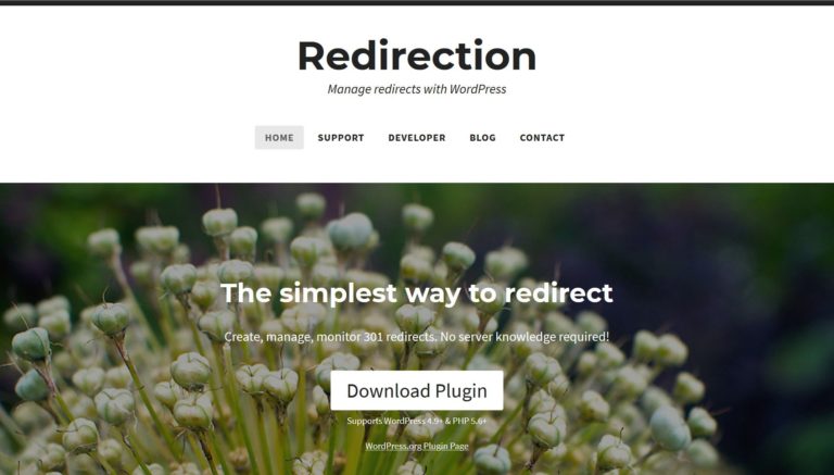 Redirection plugin