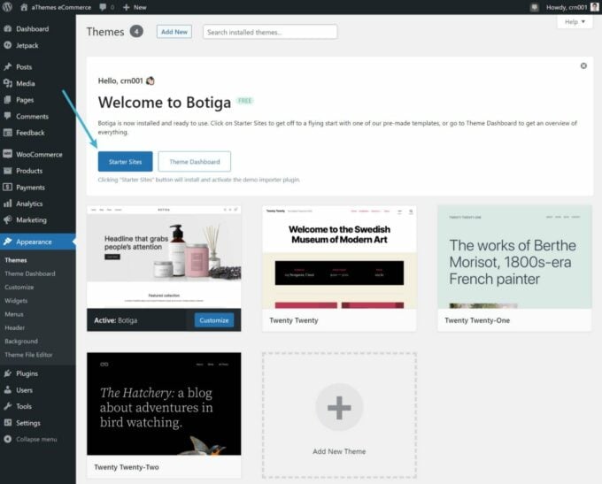 Importing a Botiga starter site