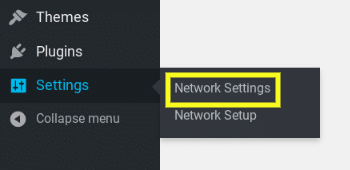 The 'Network Settings' menu item in the WordPress Multisite admin.