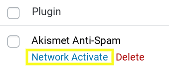 The 'Network Activate' link for a WordPress plugin in a multisite network.